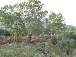 san-crispo-river-08 (35).jpg